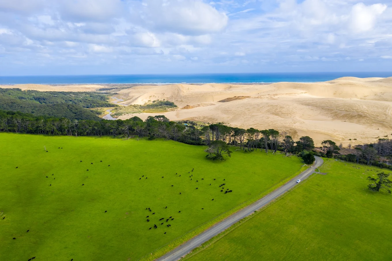 Te Paki Sand Dunes View 3